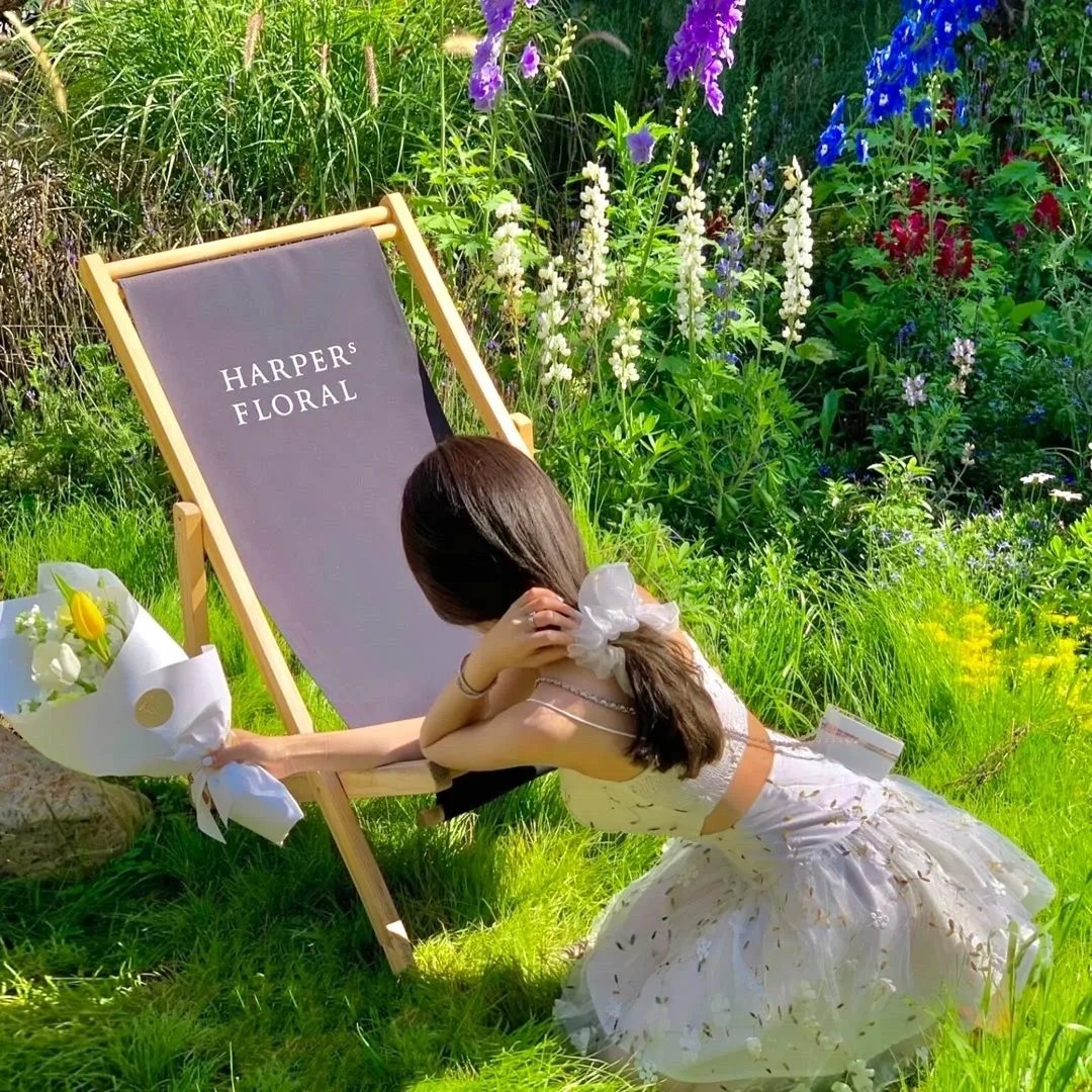 公证人之深度危机